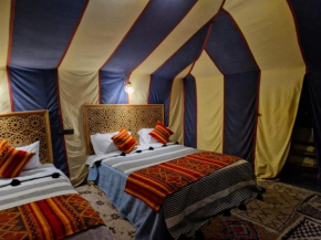 Merzouga tent and room's